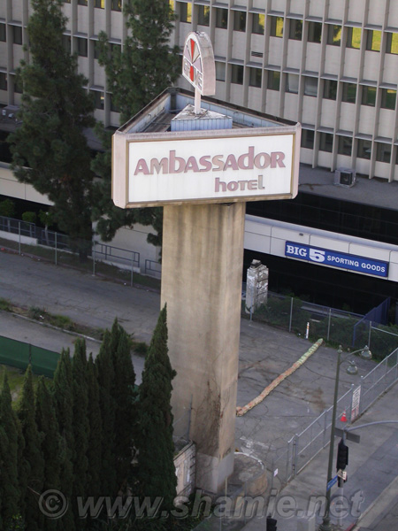 Ambassador Marquee